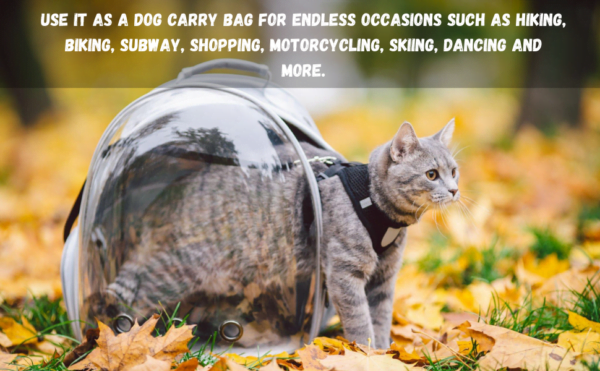 Breathable Pet Carriers Bags for Travelling 3