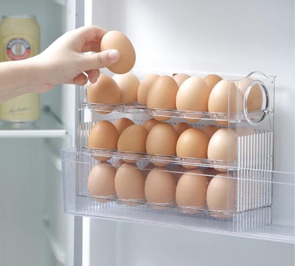 Egg Holder for Refrigerator