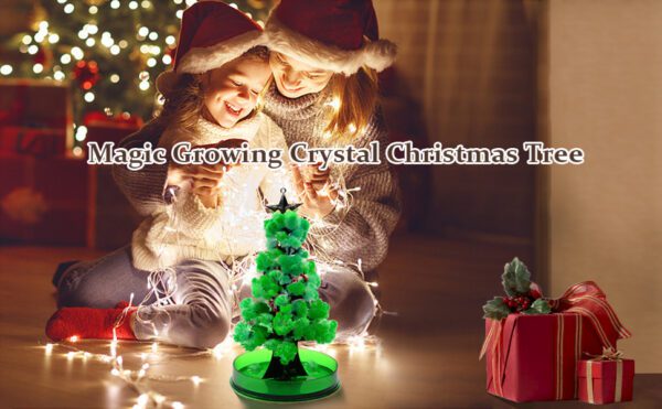 Magic Growing Crystal Christmas Tree