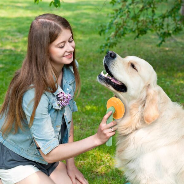 Self Cleaning Slicker Brush for Pet, Pet Brush for Shedding and Grooming